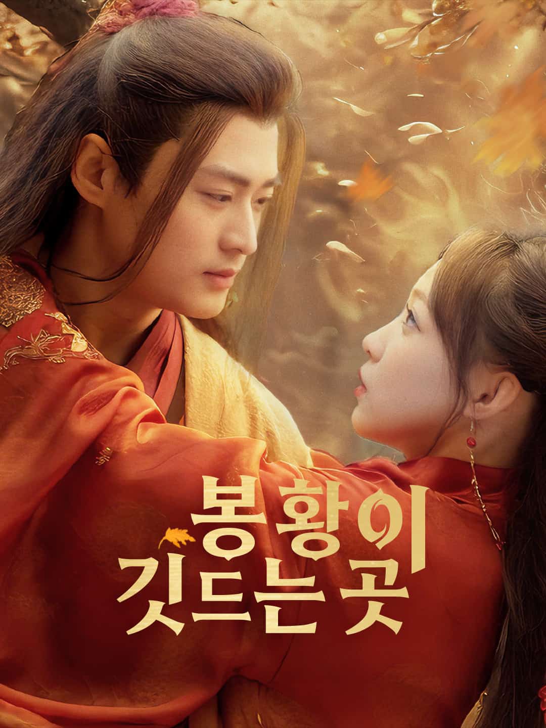 봉황이 깃드는 곳